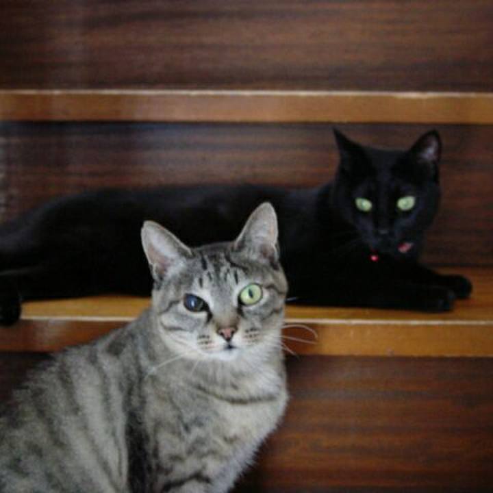 12a27cc6 6079 4a03 8e48 41e4a3b6928f