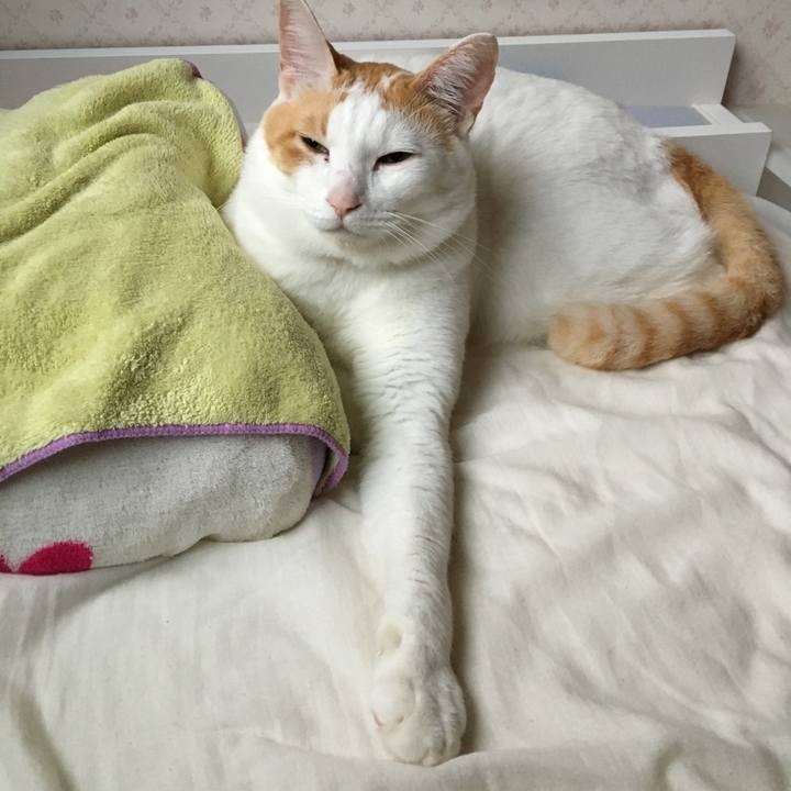 12a3005d ca63 4dec 8070 6a22b47d8f1d