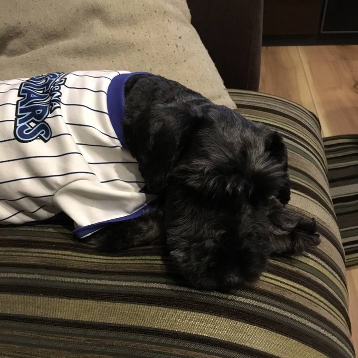 12a3858b d190 4470 8c91 888fc6ba81fd