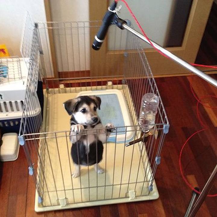 12a3b66d 025f 4621 ac39 9dff80b54097