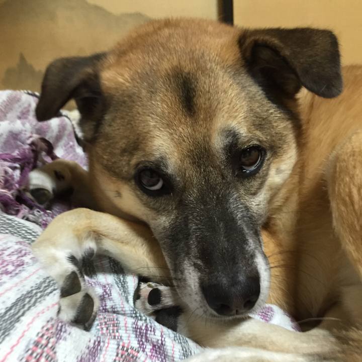 12a4131e e18d 48df ba23 490801819086