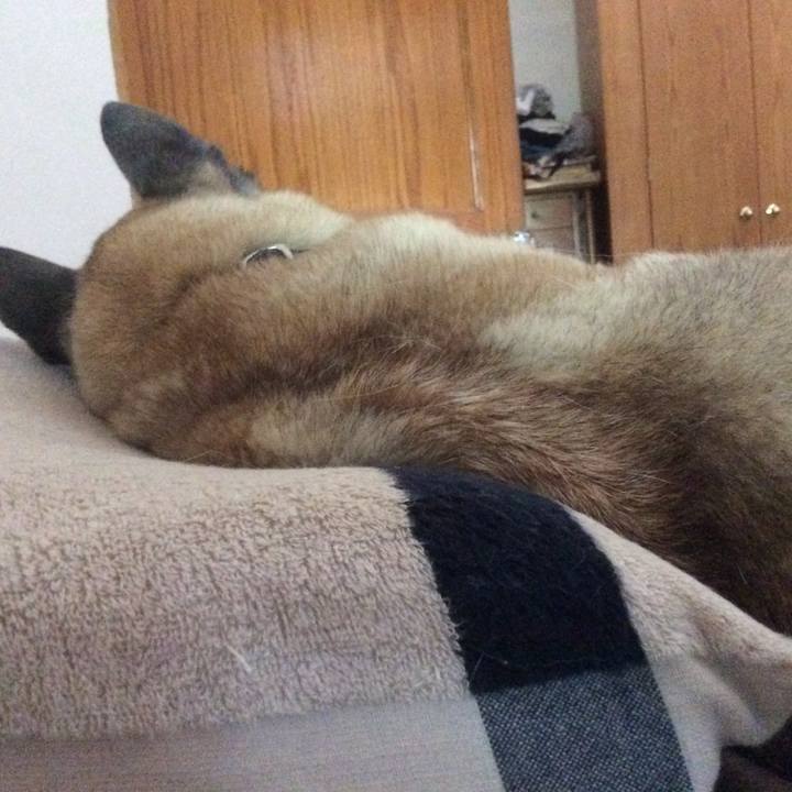 12a421ff 6a00 440b 9893 4cade2e7dfc3