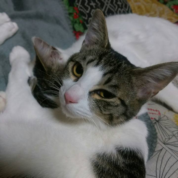 12a553bb 3f2b 4baf 83f5 0c0899edbc88