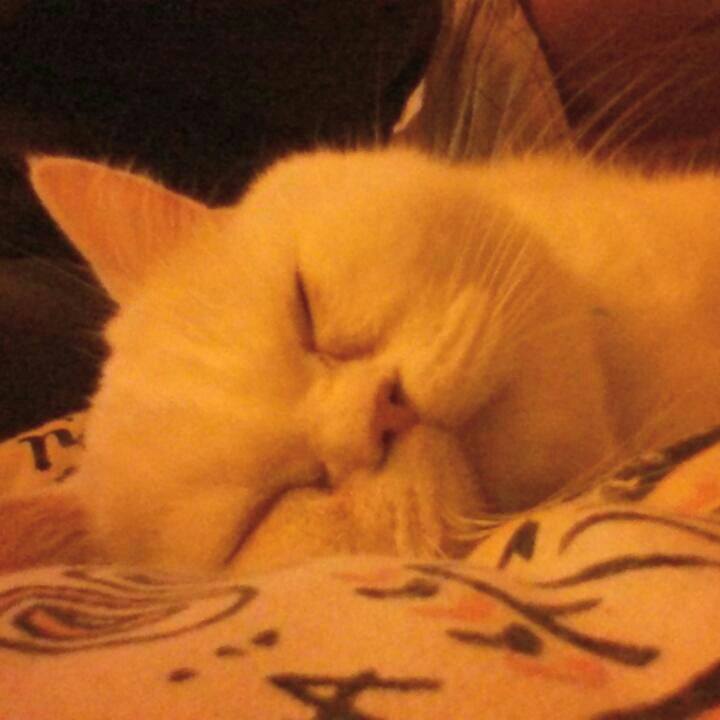 12a5a7f1 1a08 4bbf becd 063b365910ee