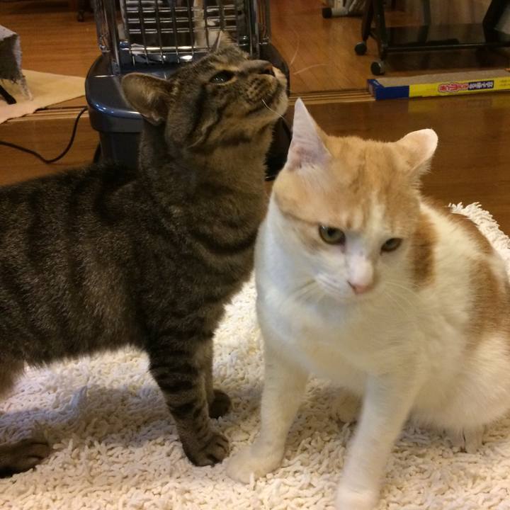 12a5c304 9b79 40af b2a1 a6b63a073394