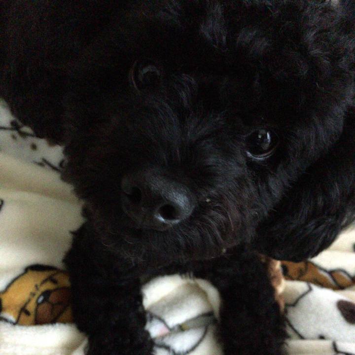 12a6b16f fcf3 408c 9cb0 62be7c3e02f9