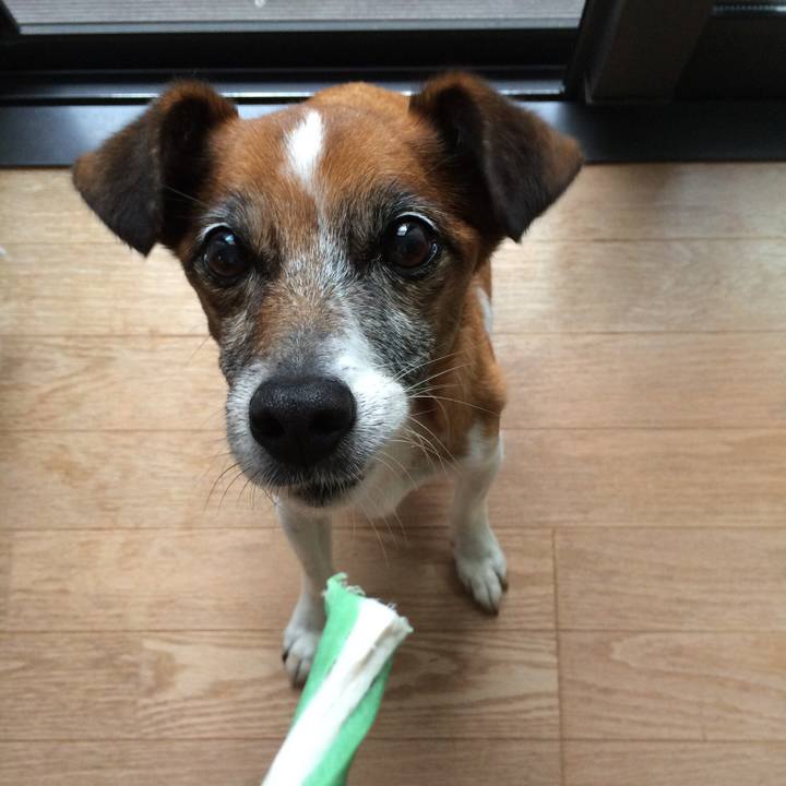 12a755f3 7cd4 470c bdcb 87b257ed1b29