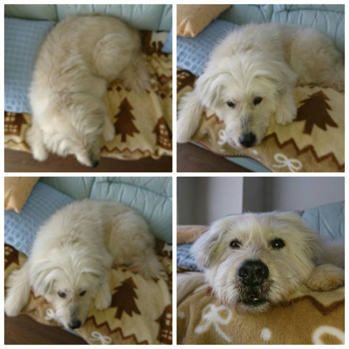 12a8447b 8307 493e 9de3 e09d117444ad