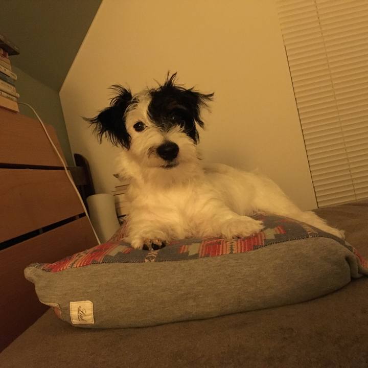 12a8526d 4e97 4f9d 8893 b5149916ef81