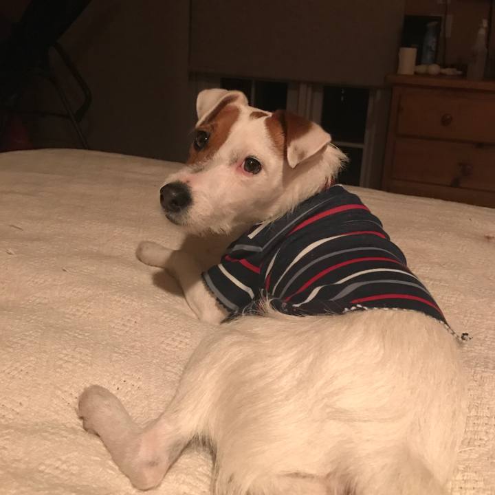 12a9466c 468a 474a 95e6 b8372995310a