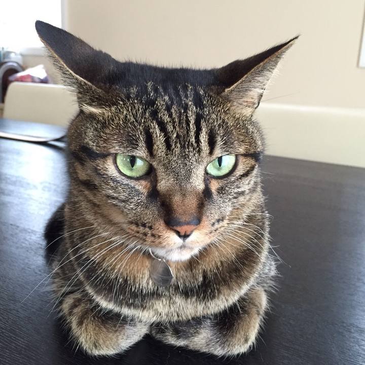 12a9554d 8822 4e0e aab7 f5c4fcad07f1