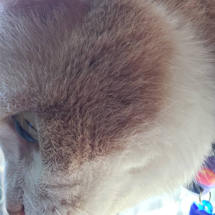 12a960e9 bb94 4382 aa64 283a90910975