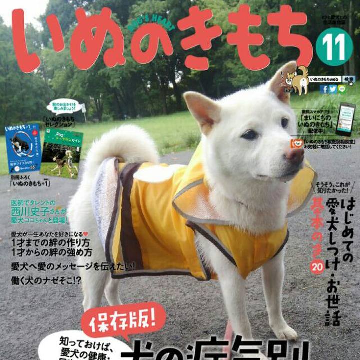 12a9d624 4e8c 4fd3 8437 5c4d4d815817