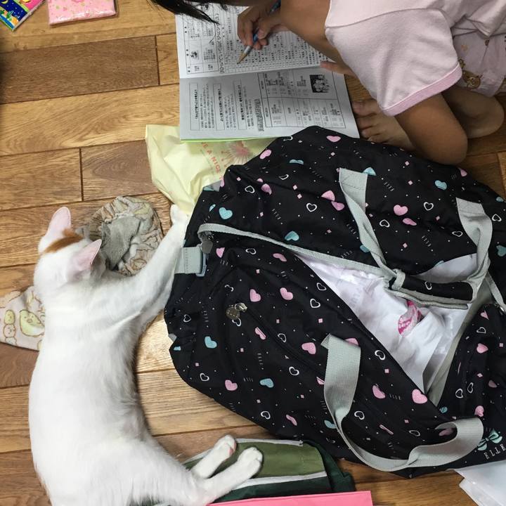 12aa275c dcea 4680 9c05 661fd8fa6277