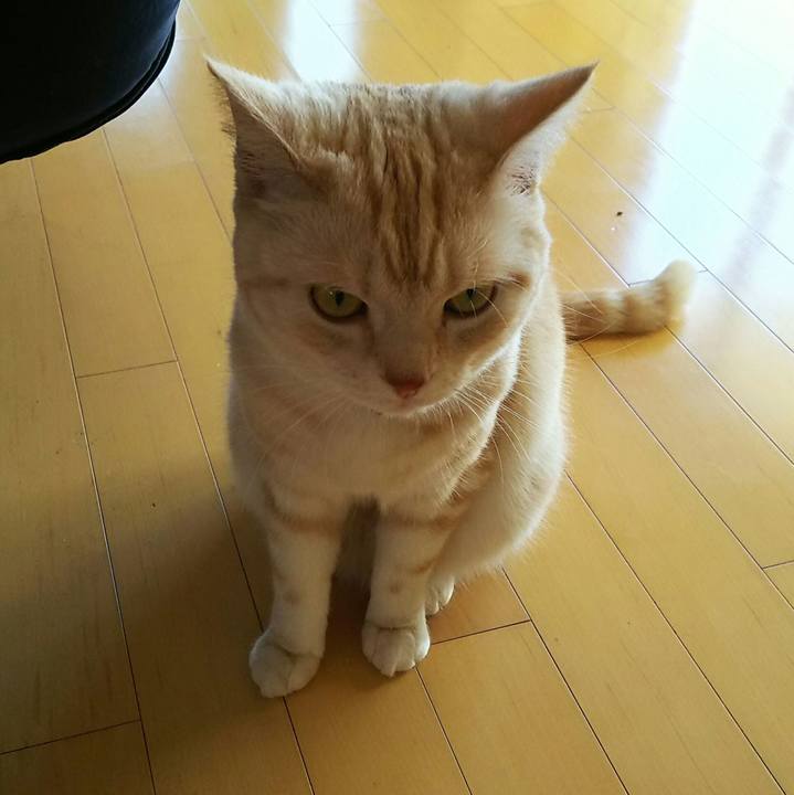 12aa9a90 75f2 44d3 8bac 47fef2af76bd