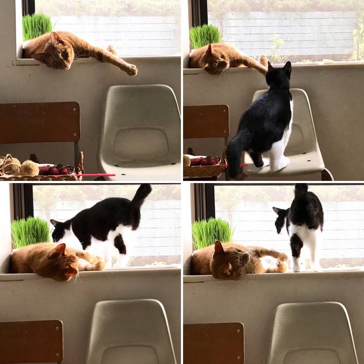 12ab0d0b 94df 4161 afd4 21eb75218c5d