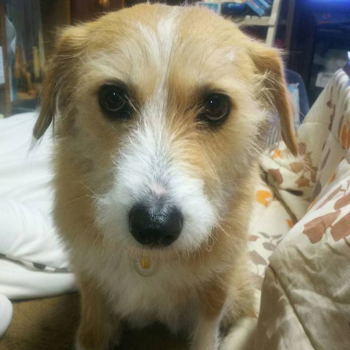 12ab482a 4dcb 4264 abea 1ff9052536ae