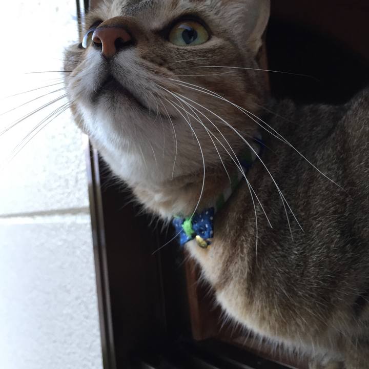 12ab93fa 5acb 4f66 8e33 2615be92e002