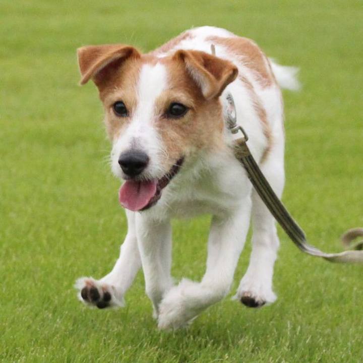 12ac03a0 58bd 4c6f 87a9 fc4341f2ef43