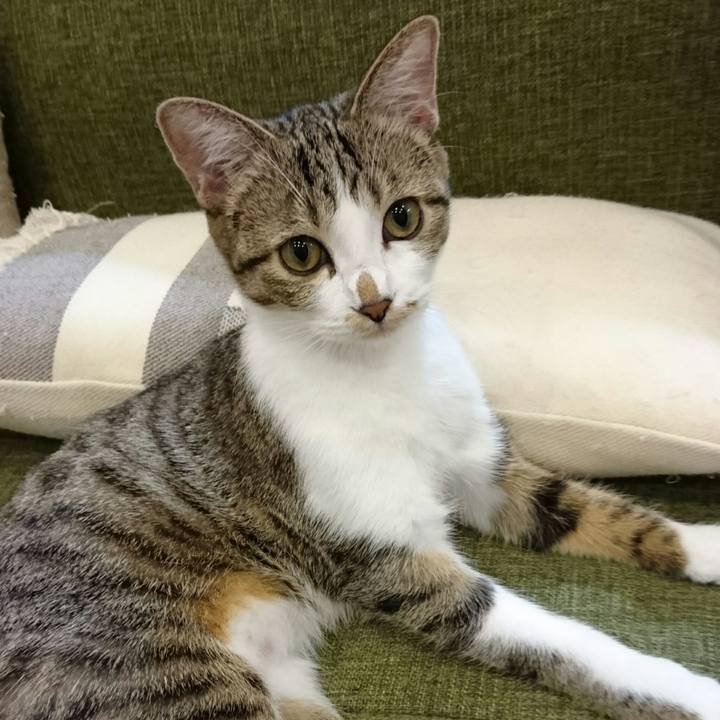 12ac75f3 57e8 40da b996 edc224d95e40