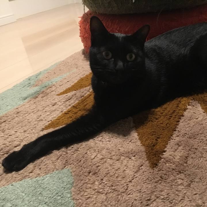 12acabef 6a57 4c10 ad90 5e5369c816c6