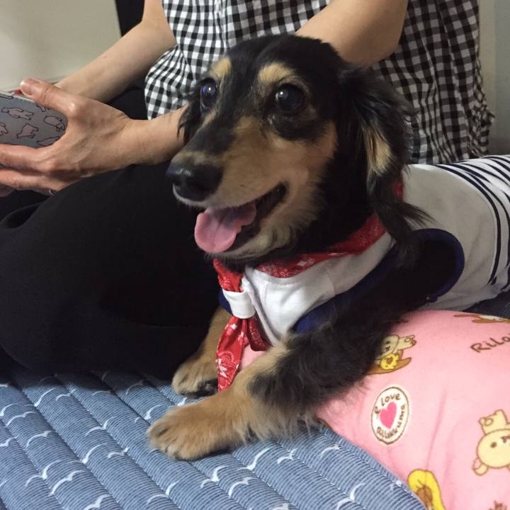 12ad9a44 b226 425a 815d 13ad073410dd