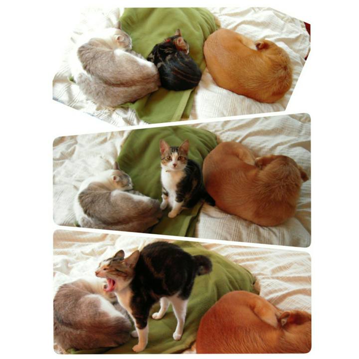 12adadf2 a477 4573 8e67 416bdac71c1c