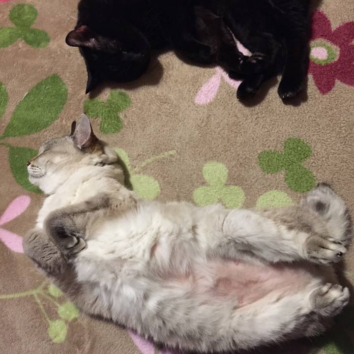 12addec9 fbe7 4ba1 9a52 60b00875244e