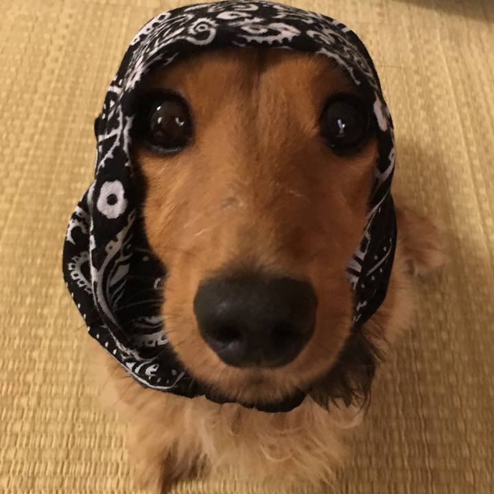 12adf232 6f62 4db7 b571 e32518ef8034