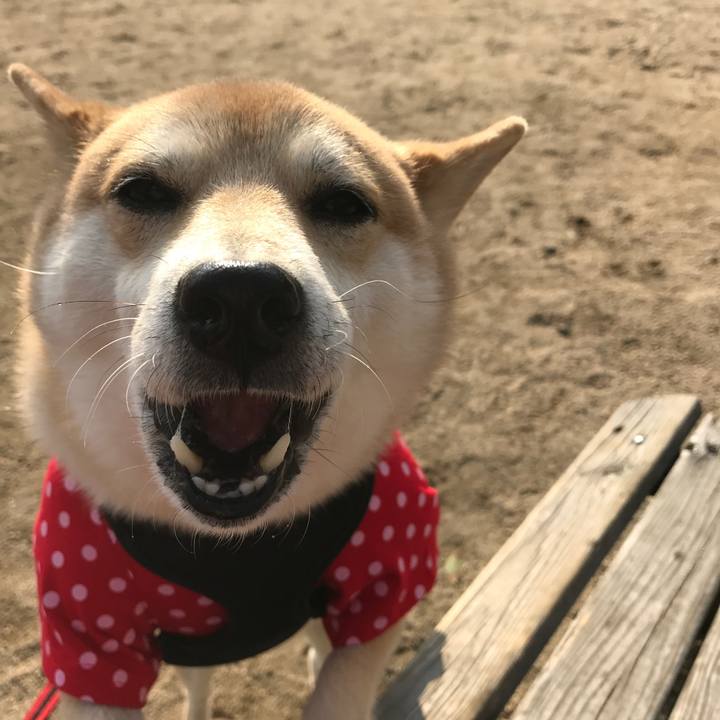 12ae25d0 cd7a 45bd a6e2 61022aa33da5