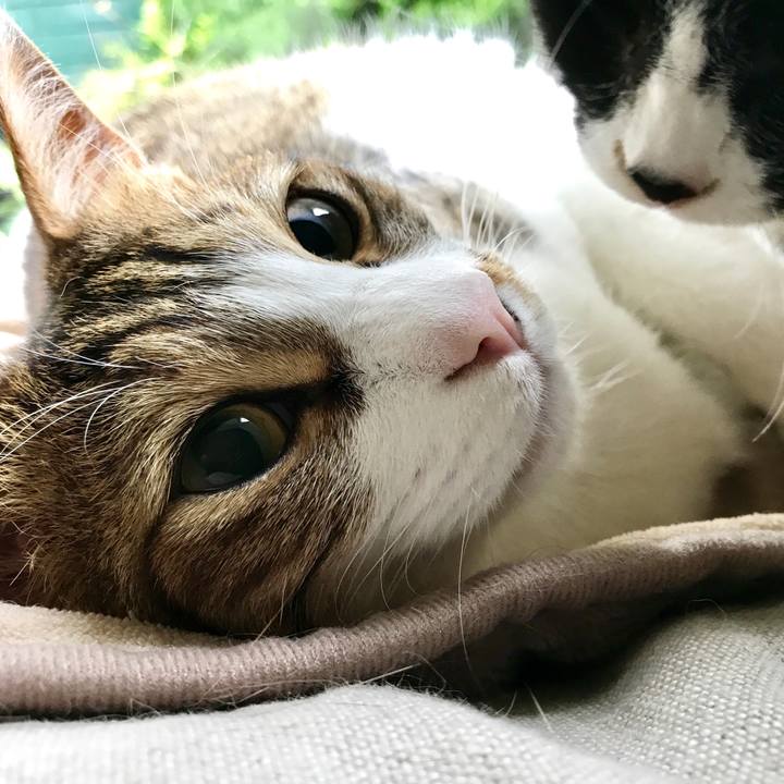 12ae7879 5ccc 450f af47 332d58cb653c