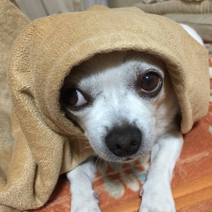 12af3447 df54 4c90 8aff f8d8250e6796