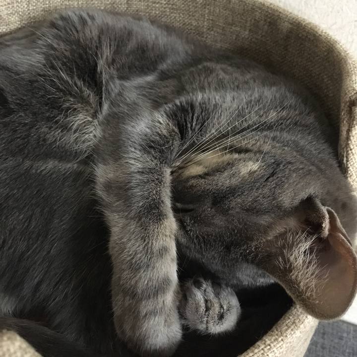 12af4b9e ad10 4612 8510 017cf8612234