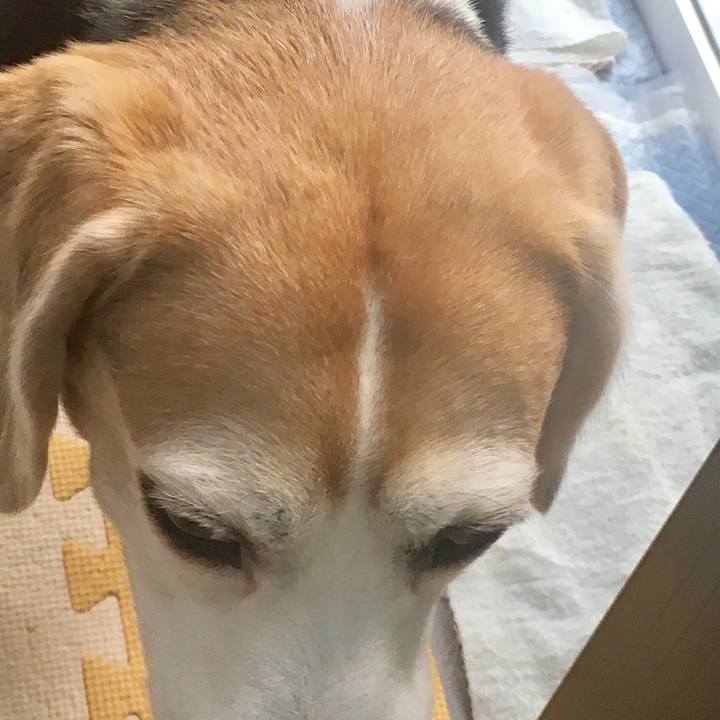 12af7fec 3f26 4acd 8071 f66fcb9a7cd9