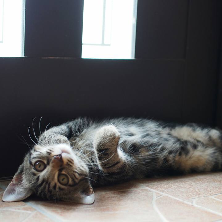 12afc0ad a653 4837 a787 6a4c90ca1a7d