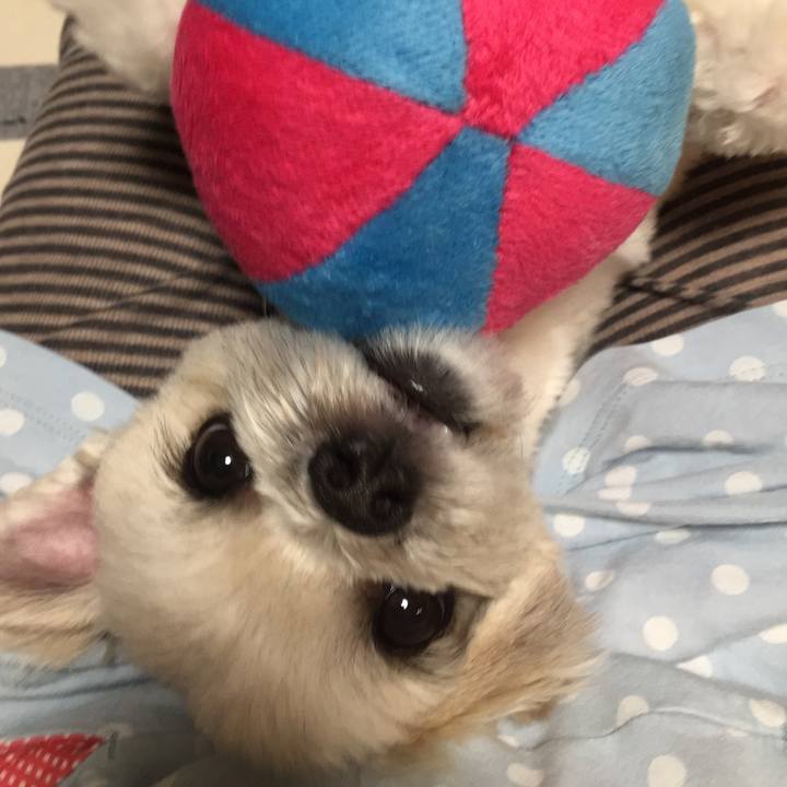 12aff2c6 a5e5 4b0d 8661 48d39393a3f2