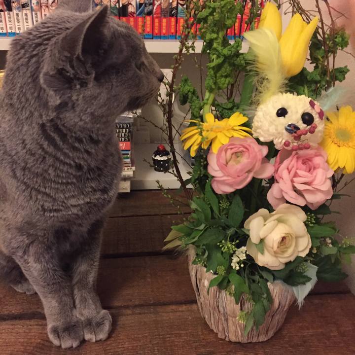 12b000fe 14a4 46f1 b4de 258bde7e35aa