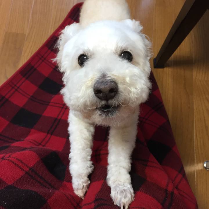 12b0eb07 6352 4d36 9de7 6a518533d791