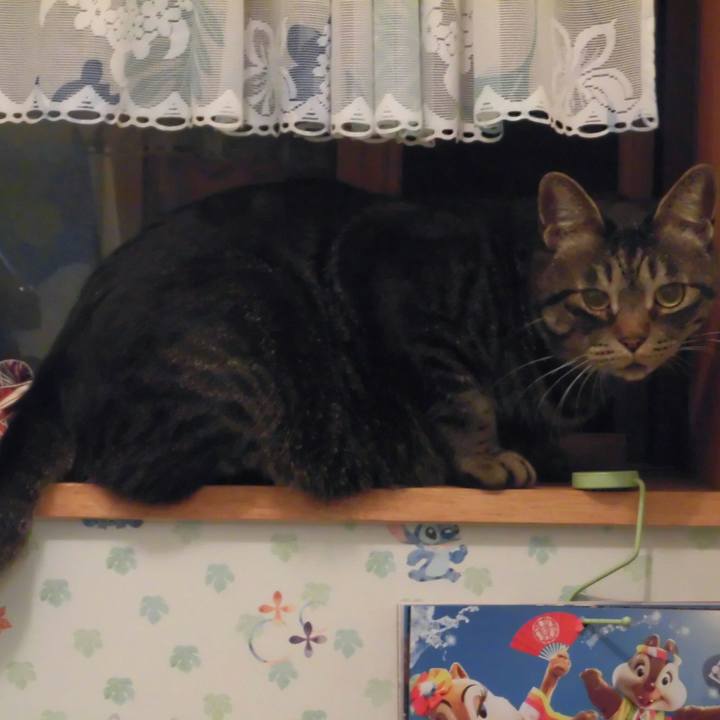 12b0f465 3932 4d32 88ef 5f2340aba2c9