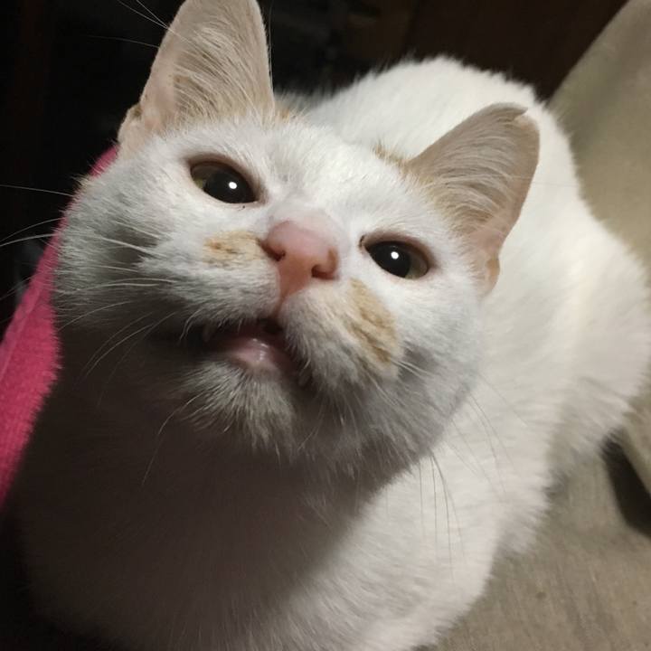 12b1aa30 76c3 45b3 b841 cc23303e9479