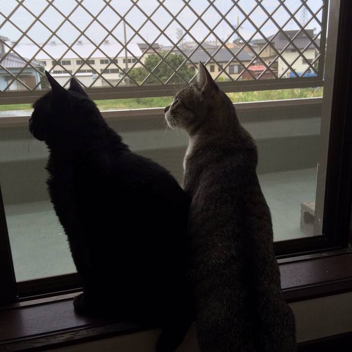 12b2320f 2fc2 45d8 b069 b7f76447f50f