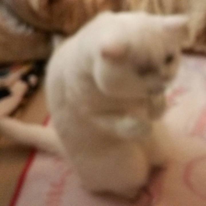 12b27a58 aacc 4c77 9147 6f84fe5866e2