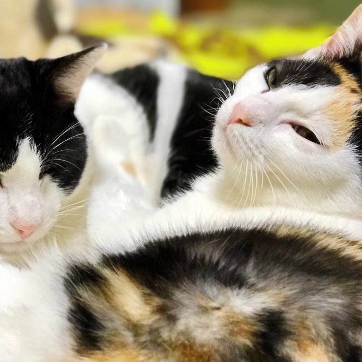 12b2c0db fefa 4d9d af80 b038e1060c42