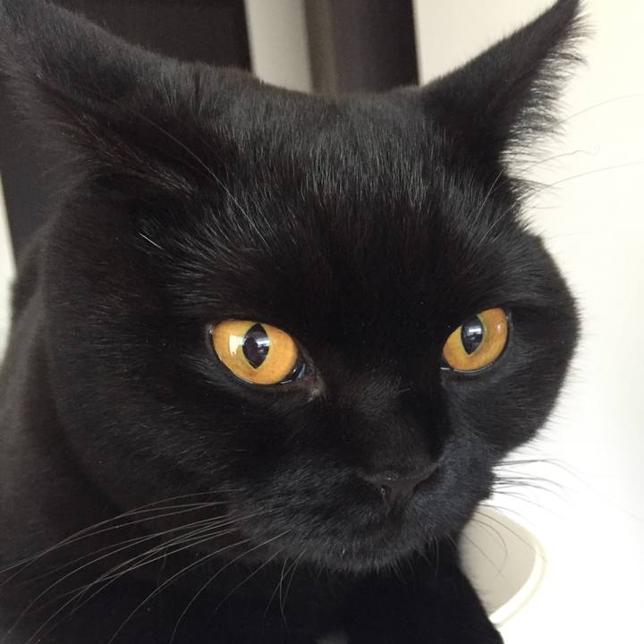 12b30b3d 1d2c 457b 8e4a ed82eed87ad4