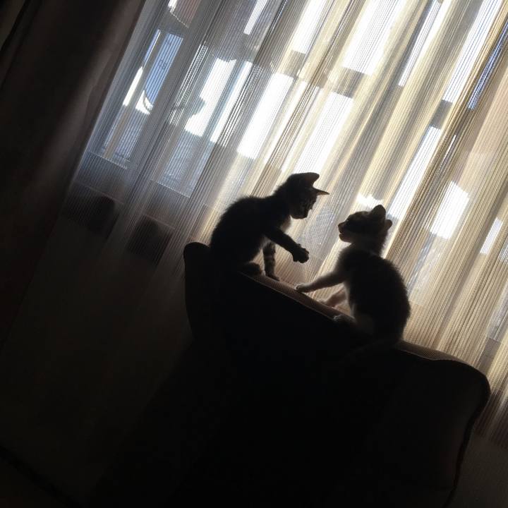 12b3b0a7 2cfa 4059 9062 8fd230c3adab