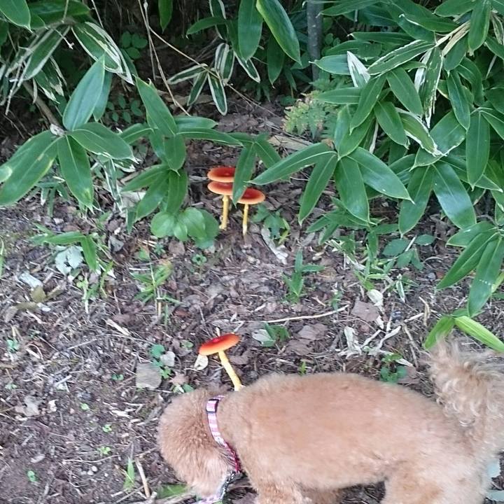 12b3e072 1dd1 4d4a b964 1ba24603e4bd