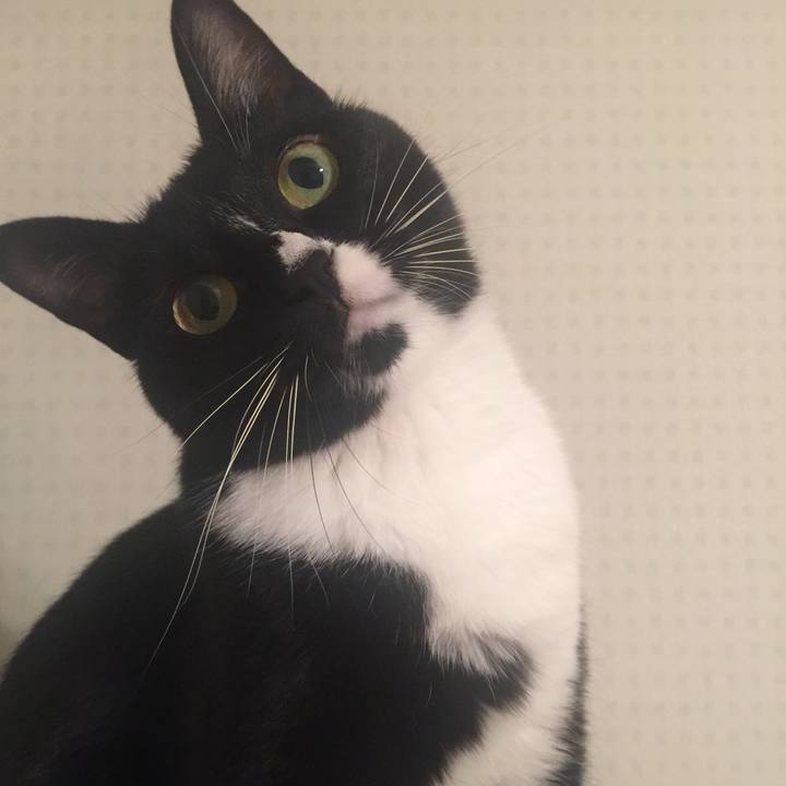 12b46203 0d7d 4f12 98e7 5d989ea4ae9e