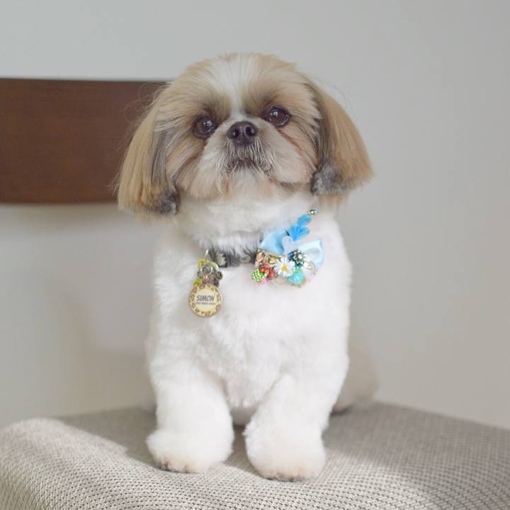 12b4dd6c aee2 4960 b11e 5533d0271fe9