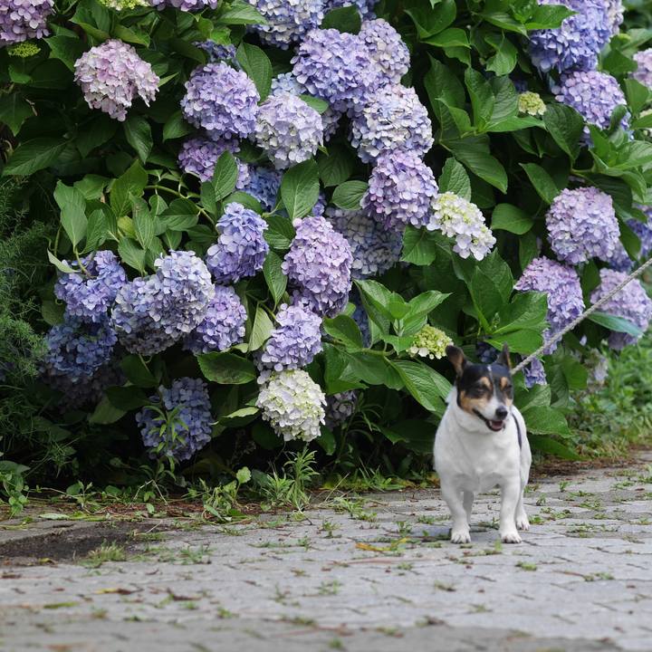 12b54604 4602 415d 9942 19b55a351907