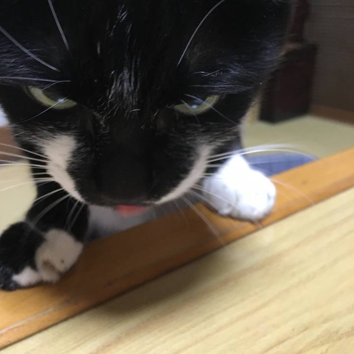 12b5a79c aa0f 4136 97dc ea248c004b4b